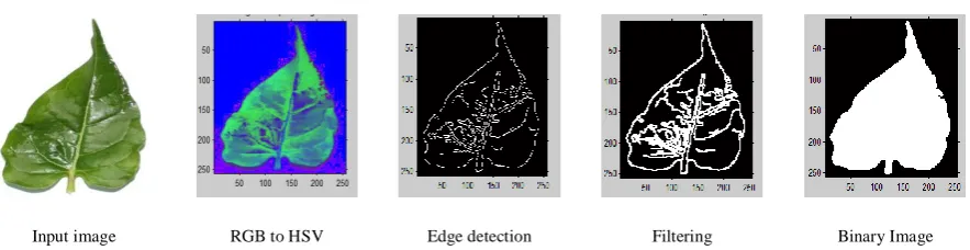 Fig. 4 The results of all sub-steps of image preprocessing. 