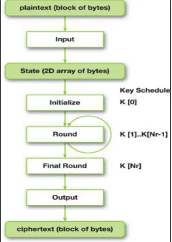 Fig. 2 AES Encryption Algorithm  