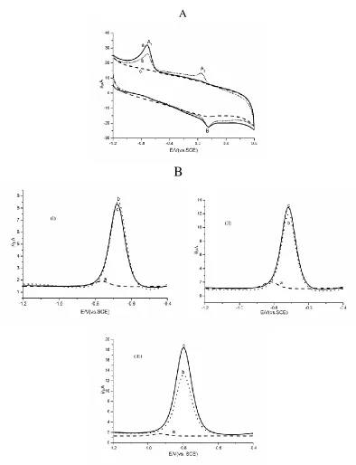 Figure 2. The behavior of o-NP, m-NP and p-NP at modified electrodes. (A) CVs of p-NP at α-CD/CRG/GCE