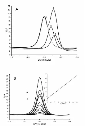 Figure 4.  Determination of p-NP. (A) DPVs of a) o-NP, b) m-NP, c) p-NP, d) mixed NP isomers at α-CD/CRG/GCE (CNP=1.0×10-4 mol/L); (B) DPVs of different concentrations of p-NP at α-CD/CRG/GCE