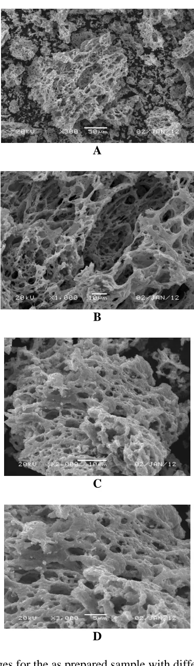 Figure 2.  SEM images for the as prepared sample with different magnifications.  
