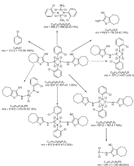 Figure 1.  Possible fragmentation pathways of H2L ligand. 