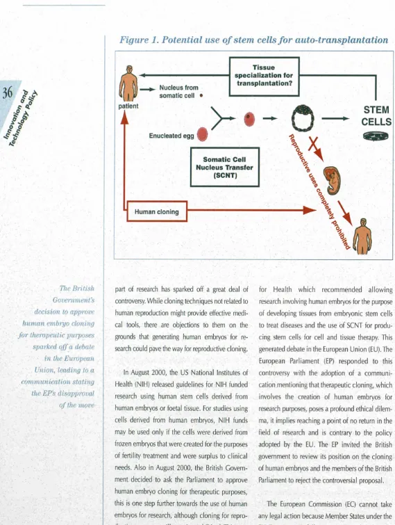 Figure 1. Potential use of stem cells for 