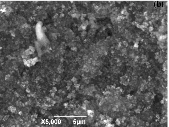 Figure 5.   SEM images of Si negative electrode bonded with HPAM after 50 cycles (a:0.06-1.0V, b:0.07-1.2V)  
