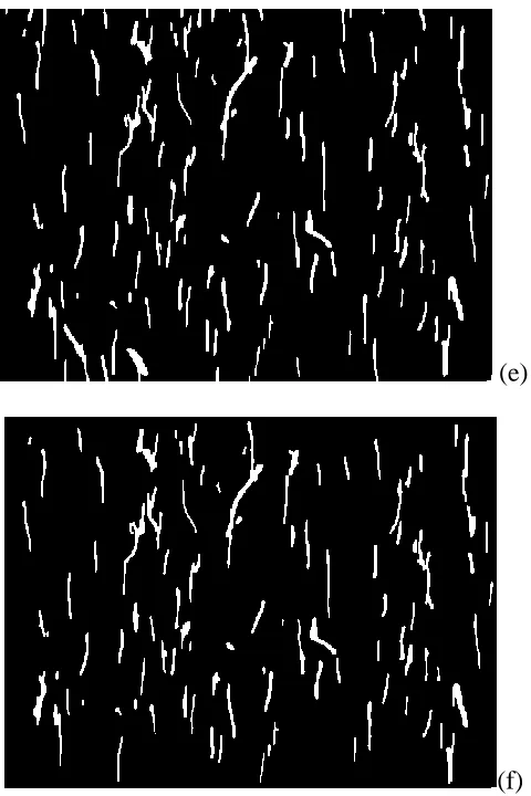 Figure 1. Operators sequence to segmentate mini-cracks in example image: (a) Original Image, (b) Subtracting max var, (c) Otsu umbralization, (d) Vertical closing, (e) Geodesic Opening, and (f) Without edge cracks