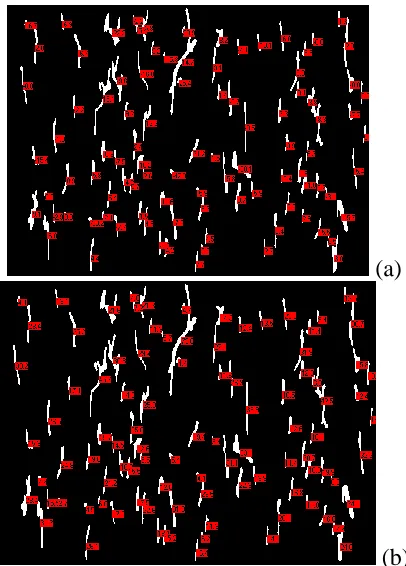 Figure 2. Measuring results in example image: (a) Angles and (b) lengths. 