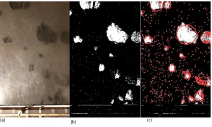 Figure 3.1 Image Processing Procedure (a) Original RGB Image (b) Black and 