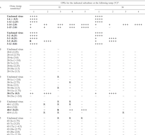 TABLE 3. Ability of cloned viruses from BHK/NA (b-18) cells to establish persistent infections