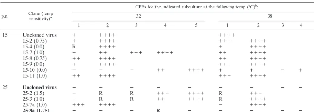 TABLE 4. Ability of cloned viruses from BHK/NA (a-1) cells to establish persistent infections