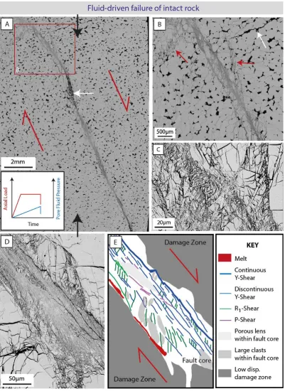Figure 7: Microstructures produced during fluid-driven failure of intact rock.  numerous Riedel shears