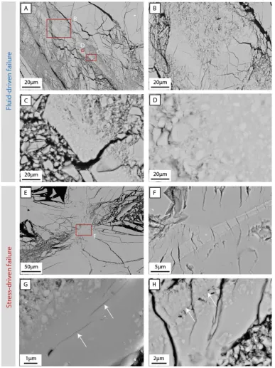 Figure 8: Comparison of melt microstructures produced during fluid- and stress-driven failure of intact rock