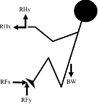 Figure 1: Free-body diagram of the static backstroke start position prior to the start 