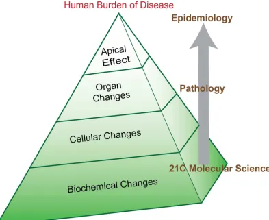 Figure 3.1  
