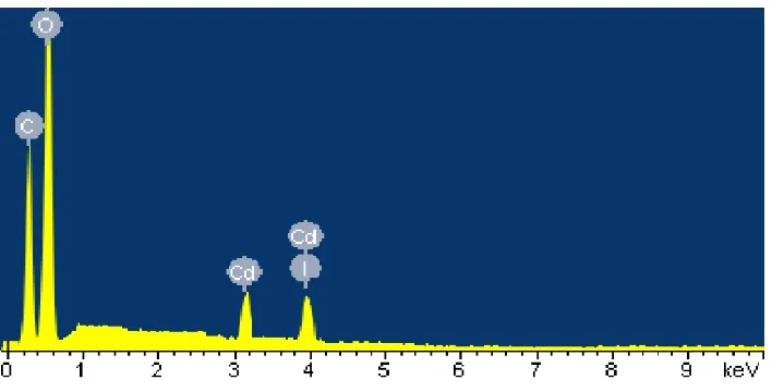 Figure 4. XRD pattern for CdO nanoparticles 