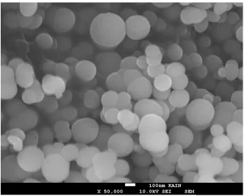Figure 6. SEM image of CdO nanoparticles of an average diameter of 40-100 nm. 