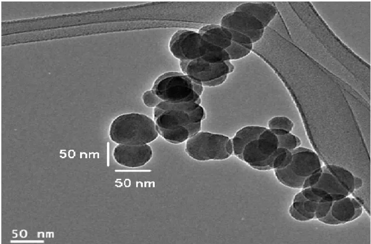 Figure 7.  TEM image of CdO nanoparticles of an average diameter of 50 nm. 