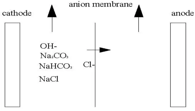Figure 1.    Schematic anion membrane electrolysis 