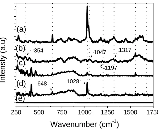Figure 3.  Raman spectra of the films of (a) (PPV/Pt-SiPy+Cl-)30 LbL film, (b) drop-coated film of PPV-SO3, (c) drop-coated film of Pt-SiPy+Cl-, (d) drop-coated film of SiPy+Cl-, and (e) Ag substrate