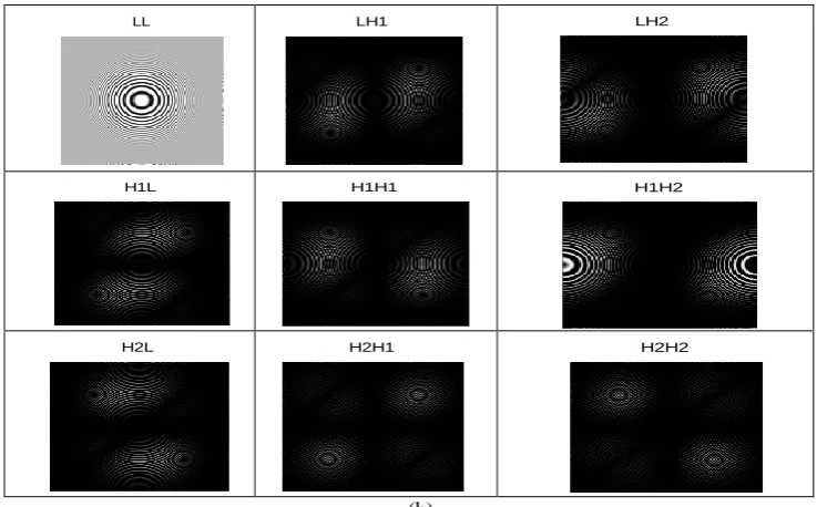 Fig. 1.5 (a) 1-stage decomposition of 2-D DD DT Complex DWT [15]  (b) Part A demonstrated for the image (b) ‗Zoneplate.png‘  