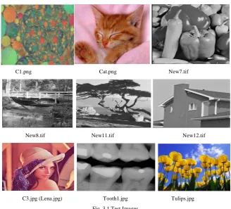 Fig. 3.1 Test Images 