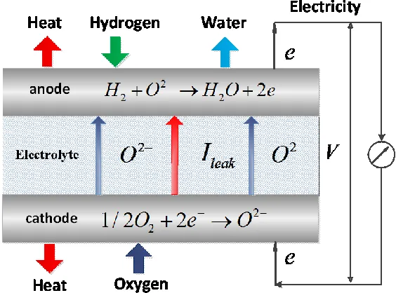 Figure 2.  Principle of a solid oxide fuel cell. 
