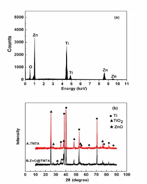 Figure 3.  (a) EDX pattern of ZnO@TNTA, (b) XRD patterns of TNTA and ZnO@TNTA 