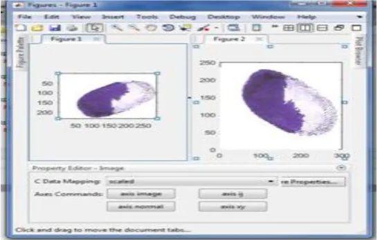 Figure 3.1 explains about the thumb impression of the single person  
