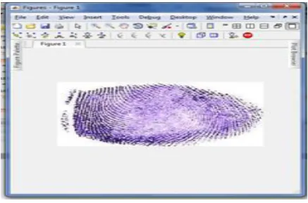 Fig 3.8. Thumbprint of Image 3   