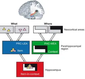 Figure 1.6. Binding of items-in-context (BIC) model (Eichenbaum et al., 2007).  