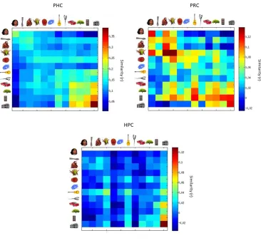 Figure 2.4: Representational space for object-evoked responses in the medial temporal lobe