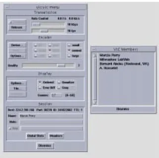 Figure 2: Vic’s menu window reached by pressing