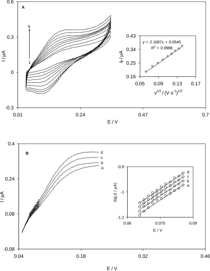 Figure 3.  (A) Cyclic voltammograms of a QMSNPs−GCE in 0.1 M phosphate buffer solution (pH 7.0) containing 0.07 mM hydroxylamine