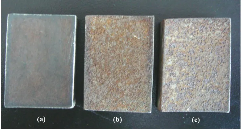 Figure 1.  The pictures of steel sheets from in-service natural gas pipelines with (a) slightly, (b) moderately, and (c) seriously corroded surfaces 
