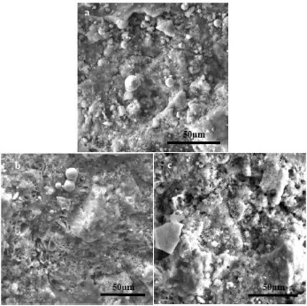 Figure 2.  SEM micrographs of (a) slightly, (b) moderately and (c) seriously corroded steel surfaces  