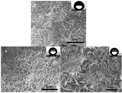 Figure 4.  The pictures of water drops on (a) raw and (b) chemical modified moderately corroded steel surfaces 