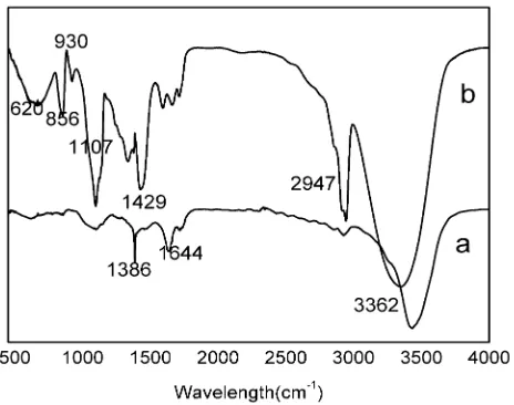 Figure 6. FT-IR spectra of the nanofibers: (a) PVA/CdTe and (b) PPV precursor/PVA/CdTe