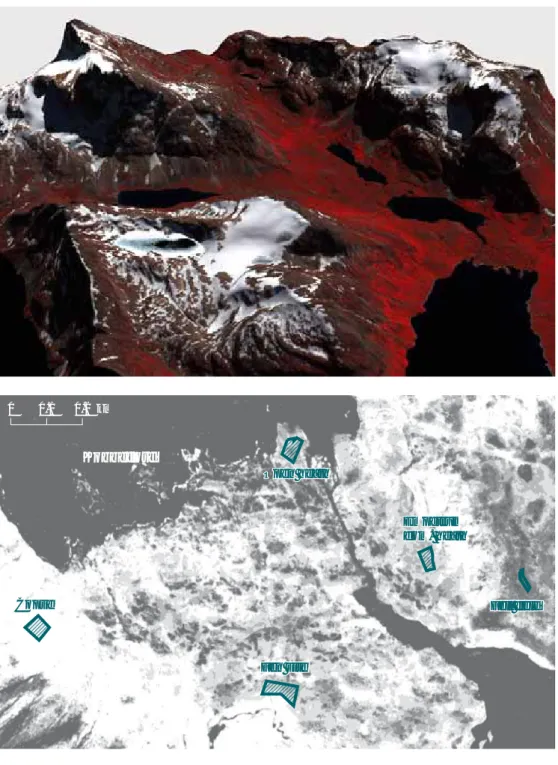Figure 3.7 shows an example of the Quick- Quick-Bird imagery from 17 July 2009 draped on  the preliminary DEM