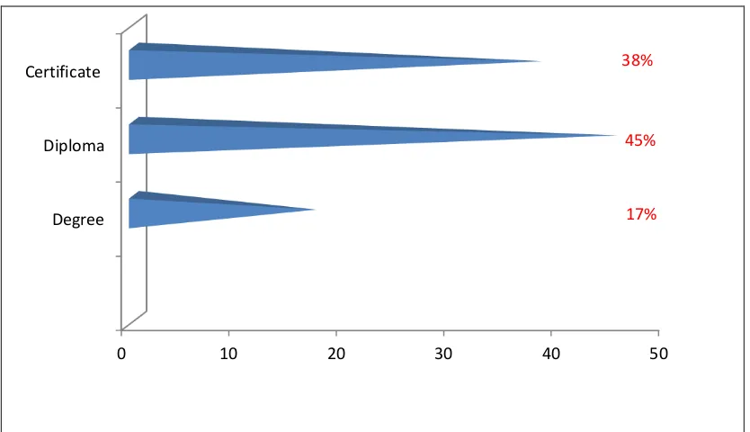 Figure 4.1 Distribution of teachers according to academic qualifications 