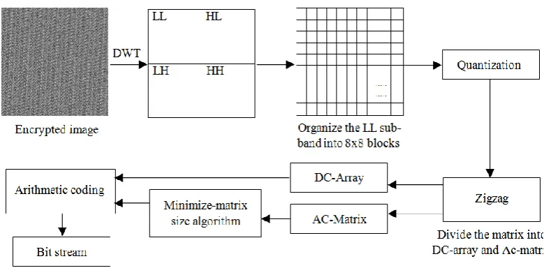 Fig. 3 