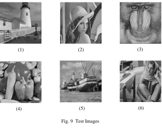 Fig. 8 (a) Decompressed image, (b) Decrypted image. 