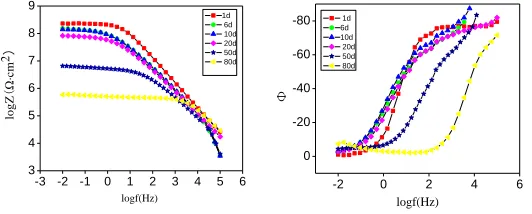 Figure 1.  Bode spectra of polyurea polyaspartic ester coating at different times of exposure in 3.5% NaCl solution  