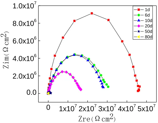 Figure 3.  Partial enlarged drawing of Niquist spectra of Fig.2  