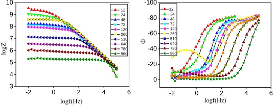 Figure 5.  Bode spectra of polyurea polyaspartic ester coating at different times of exposure in 3.5 NaCl solution with ultraviolet radiation  