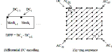 Figure (4): Preparation of Quantized Coefficients for Entropy Coding 