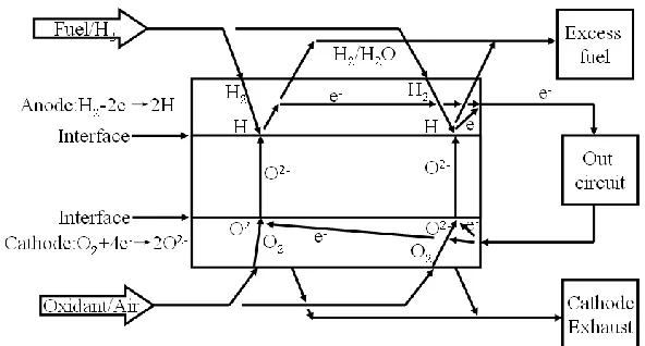 Figure 1.  Schematic illustration of the working principle for SOFC 