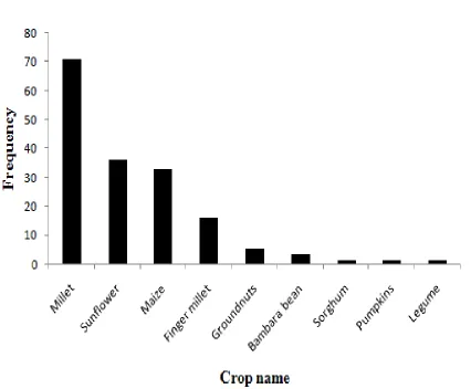 Figure 4.1 Crops raided by Olive baboons 
