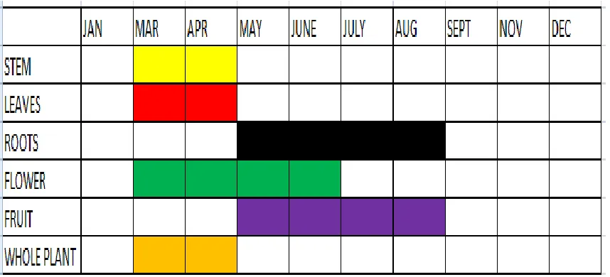 Figure 4.4   