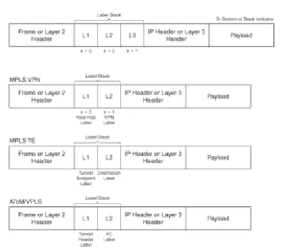Figure 1.5: MPLS Label Stack 