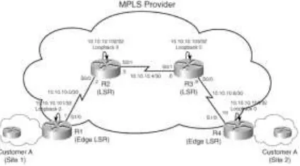 Figure 1.6: Frame-Mode MPLS Provider 
