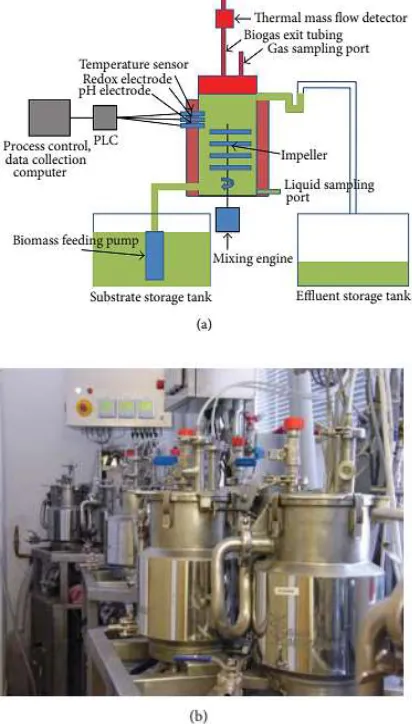 Figure 1. Scheme of operation of the reactors used in this study,some of which are illustrated below